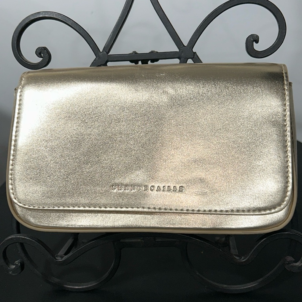 Chantecaille cosmetics case